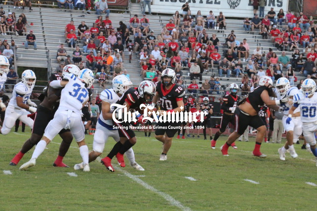 Owls Blitz The Lions | Navasota Examiner