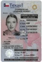 examples of texas drivers license